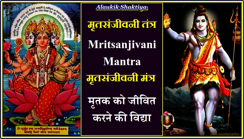 मृत संजीवनी विद्या [Mritsanjivani Mantra]
